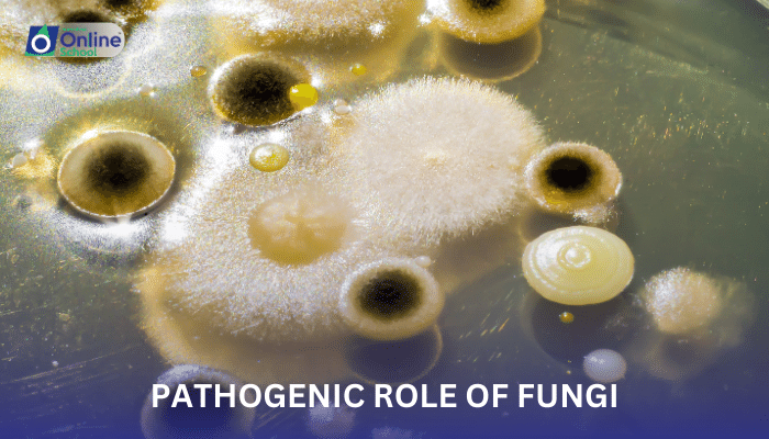 Lesson 11: Pathogenic Role of Fungi
